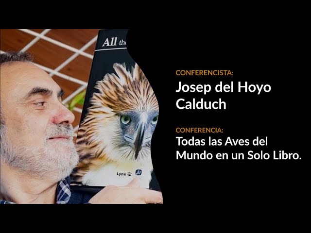 Incursiones de caza de las arrieras y las aves hormigueras.