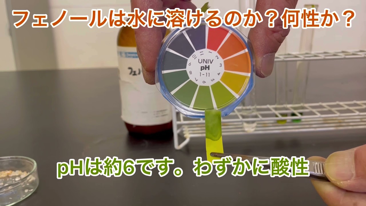 フェノール（前半）