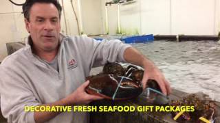 The Fresh Lobster Holidays