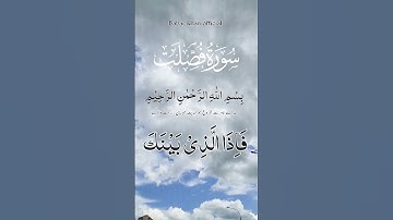 سورة فصلت#pourtoi #اكسبلور #المصحف #دويتو #آيات #