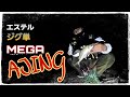 【アジング】久しぶりのデカアジ❗激シブ時のメガアジは何を食べているのか胃袋check❗