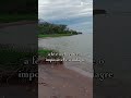 fé #deustemumapalavrapravoce #mensagem #fypシ゚viral #schorts #gratidão #fe #feedshorts