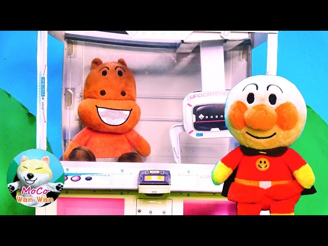かばおくん かばおくん かばお29 - Twitch