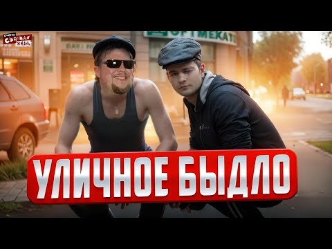 Быдло - Уличное: Упыри, Гопники и Алкаши. Посмотри это видео перед выходом из дома! Шок Контент