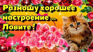 🌞 Доброго  утра  благословенного  дня! 🌞Красивое музыкальное пожелание🌞 screenshot 5
