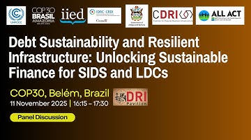 Debt Sustainability and Resilient Infrastructure: Unlocking Sustainable Finance