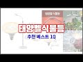 태양벨식물등 추천 단순한 구매를 넘어선 가격, 품질, 판매량을 고려한 상품