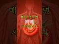 이 과일이 혈관을 청소한다고? #시니어건강 #올바른정보 #건강정보 #의약지식 #토마토