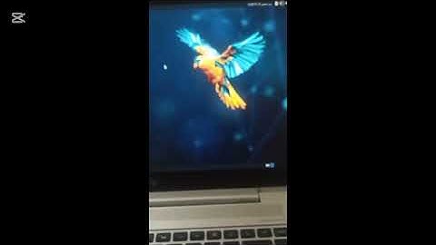 I Deleted My Entire OS to Start Fresh. (Day 0 / 365)