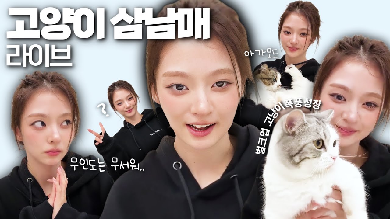 '아로&아리&나꼬' 고양이 삼남매 라이브 (ENG SUB) [프로미스나인 이나경]