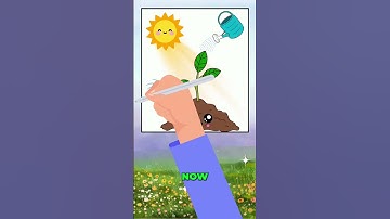 What is Photosynthesis? | Fun Educational Shorts for Kids!  #quiz