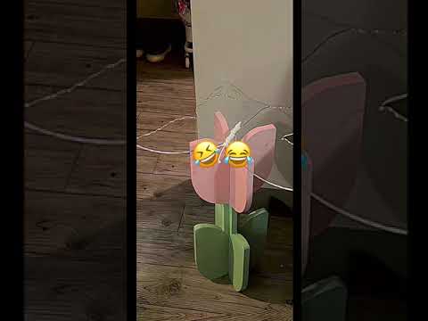 كيف الموناتج مالي خلق احط هاشتاقات Subscribe Shorts السعودية Jisoo جوانا