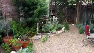 Xeriscape Garden, Avery Ranch, HOA's and water conservation. Lisa's Landscape & Design