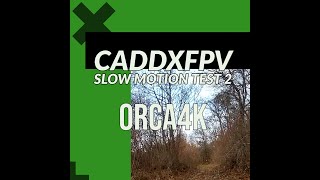 Alpha + Orca test 2