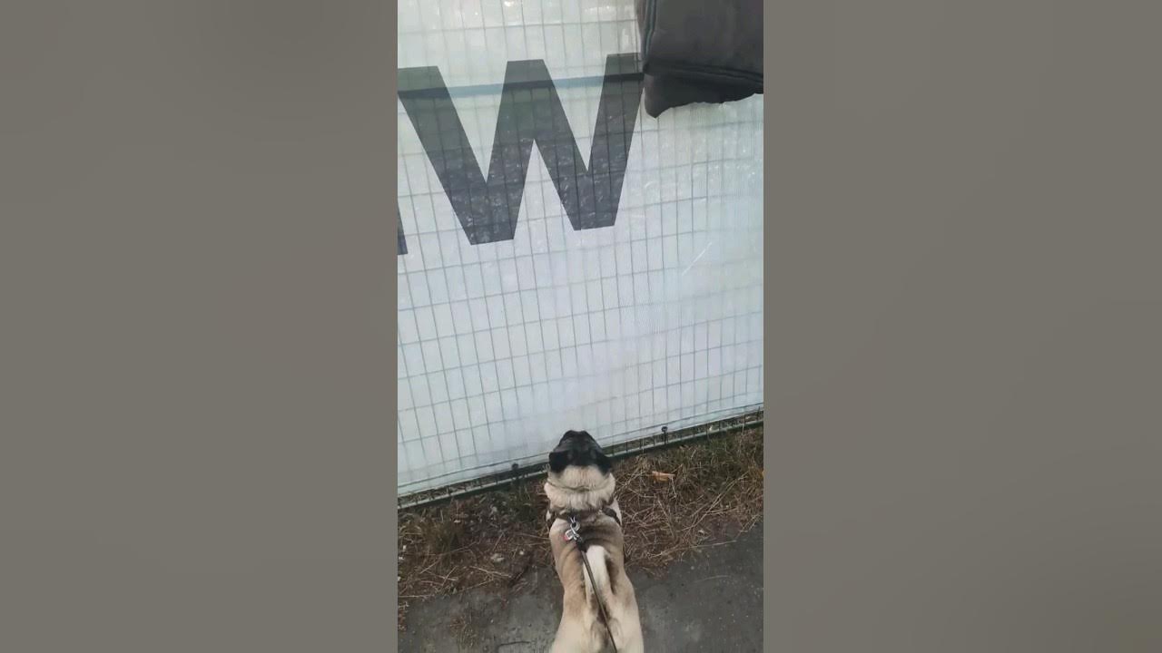 MEANING OF LIFE. Life is like a blanket. We need warmth in our life. 