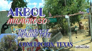 ARBOL MILAGROSO  / THE MIRACLE HEALING TREE CONCEPCION, TX