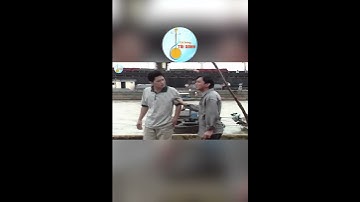 Chiều thu không nhạt nắng shot 6 Kim Tử Long #cailuong #phimhay