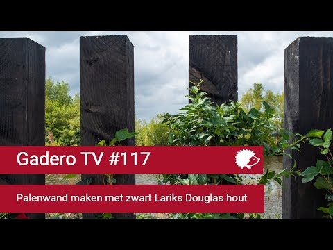 Video: Larikshout: Geskaafde Droë En Ander Hout 50x50 En 100x100, 150x150 En 200x200, 100x150x6000 En Ander Groottes. Hoe Om Te Onderskei Van Dennehout?