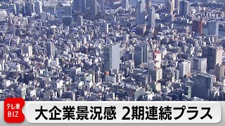 大企業景況感7～9月　2期連続のプラス　価格転嫁進み、客数増加　10月以降もプラスが続く見込み