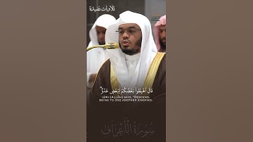 تلاوة الشيخ ياسر الدوسري - صلاة الفجر 8 جمادى الأولى 1446 - سورة الأعراف #تلاوات_نضيدة #اكسبلور#لايك