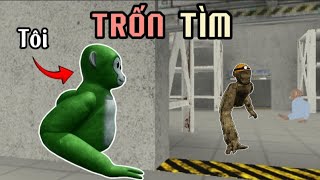 KHỈ CHẾT NGƯỜI nhưng mà là phiên bản TRỐN TÌM.. 🙈 | Roblox Lethal Ape