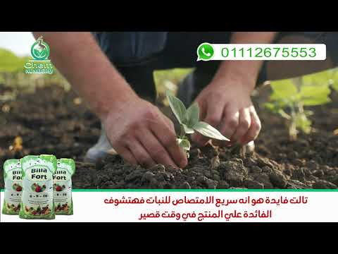 اقوي شيكارة بوتاسيوم في مصر