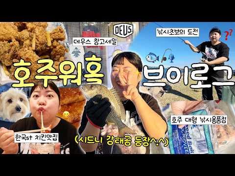 내가 강태공이었다니(!) 호주 낚시 브이로그🎣🇦🇺 한국st 치킨 영접🍗✨• 호주 낚시용품점 • 데우스 창고세일 • Swansea 낚시 thumbnail