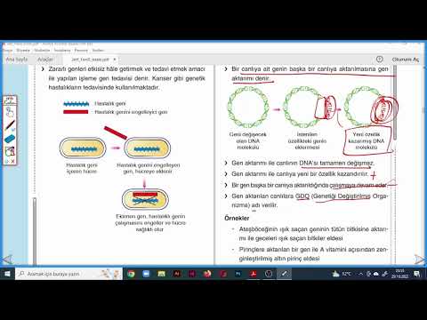 Video: Geleneksel gen tedavisi nedir?