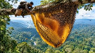 They Spotted One Bee Trail—and Found a Giant Hive Above Them screenshot 1