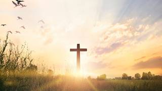 "PLANT BY FAITH" Gospel Type Beat | Christian Rap | Holy Hip-Hop | Trap Instrumental FREE FOR PROFIT