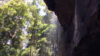 Information Yowie Audio Springbrook Gold Coast Hinterland Queensland Update