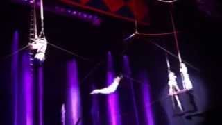 Flying trapeze mini