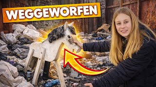 ICH habe ein HOLZPFERD aus dem MÜLL GERETTET!🐴‼️