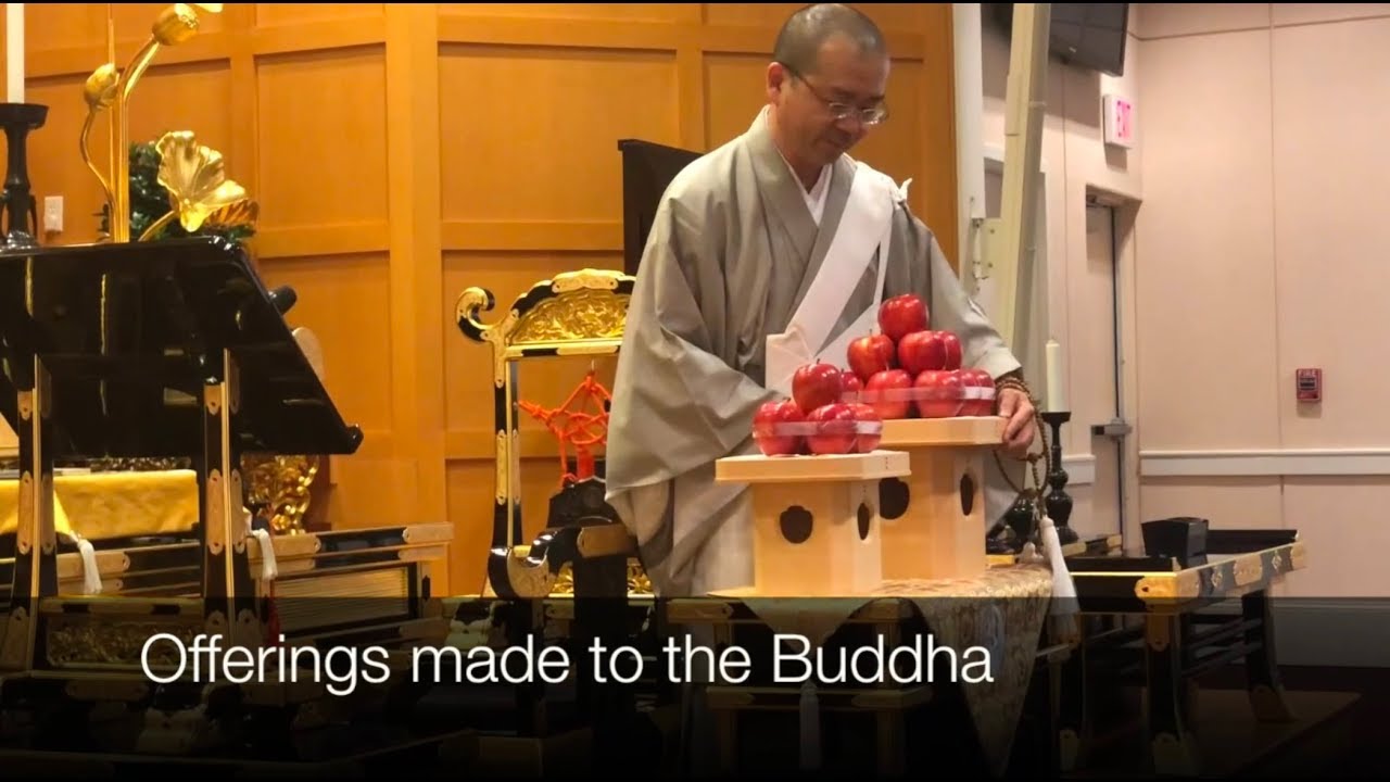 Offerings to the Buddha