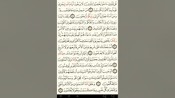ماهر المعيقلي سورة الجاثية مكتوبة من الآية 1 صفحة 499 إلي الآية 37 صفحة 502