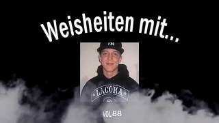 Weisheiten mit Monte
