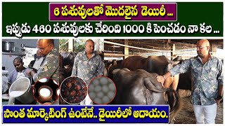 Success Story of Ideal East Godavari Dairy Farming || A.P Largest Dairy Farm Rama Seeth Dairy Farm