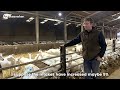 Goat farm? No problem! Try Sveaverken Nimbo 🚀