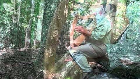 Demo of FolcHarp Mephistette