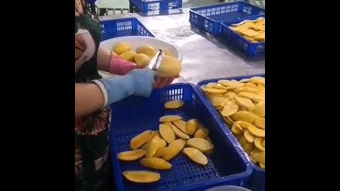 xoài gọt má cấp đông, sấy dẻo Nghiệp Xuân