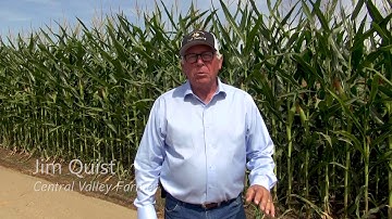 Local farmer explains the Hydrogeologic Conceptual Model in 8 seconds #SGMAMadeSimple