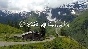 قران كريم//راحه نفسيه//مناضر طبيعيه//اجر لي ولكم🫶🏻