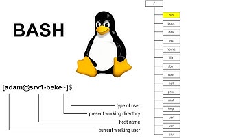 Linux Directory Structure and Basic Commands