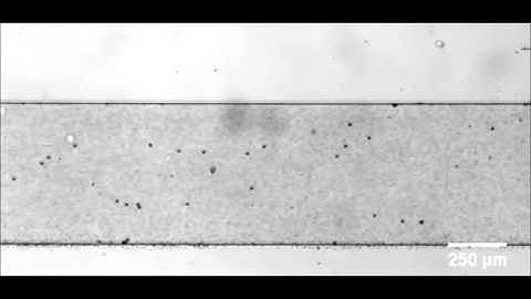 A reliable, programmable acoustofluidic pump powered by oscillating sharp-edge structures