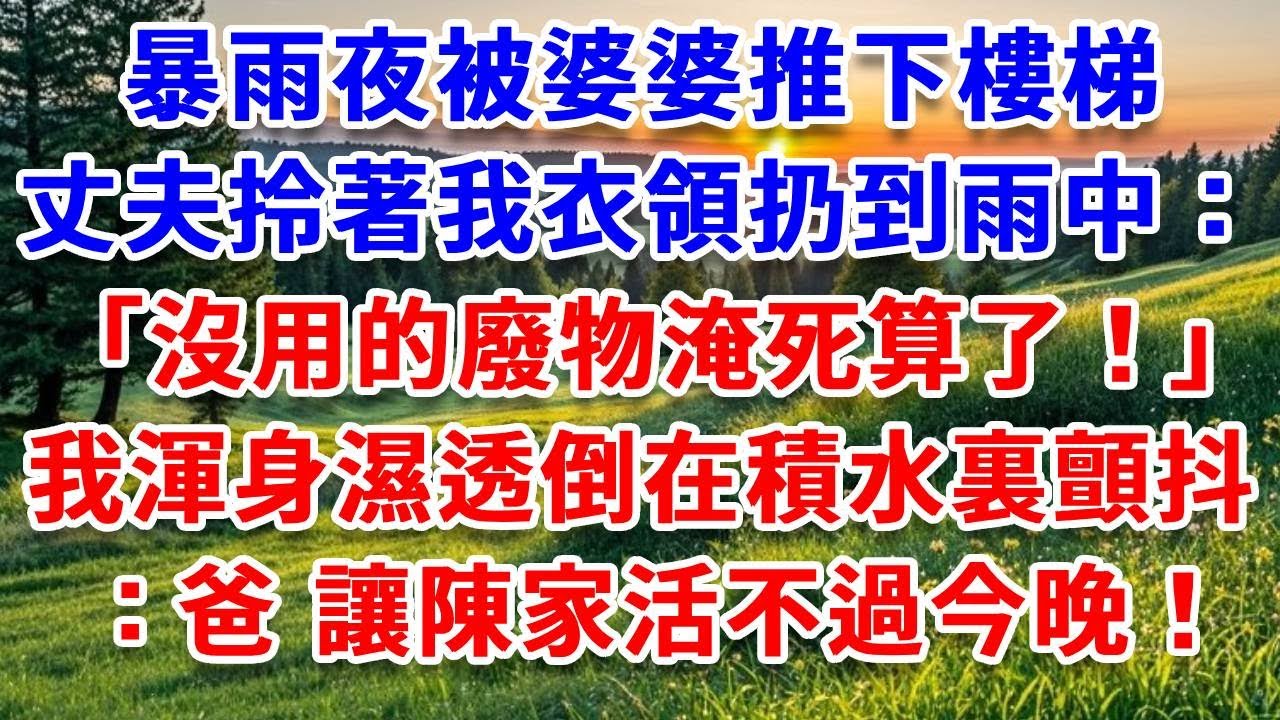 暴雨夜被婆婆推下樓梯，丈夫拎著我衣領扔到雨中：「沒用的廢物淹死算了！」我渾身濕透倒在積水裏，看婆家6口在屋內舉杯，顫抖著撥通加密號碼：爸，讓陳家活不過今晚！#詩涵講故事#為人處世#生活經驗#情感故事