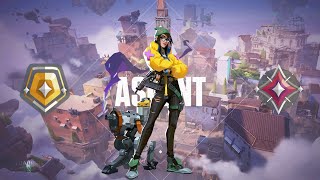 Ultimate Beginner Guide To KillJoy Ascent