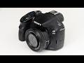 This $100 Camera is still AMAZING for photogaphy