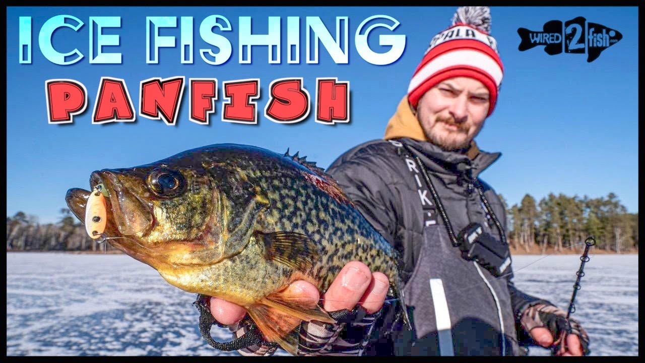 Do You Know Your Crappie? - Wired2Fish