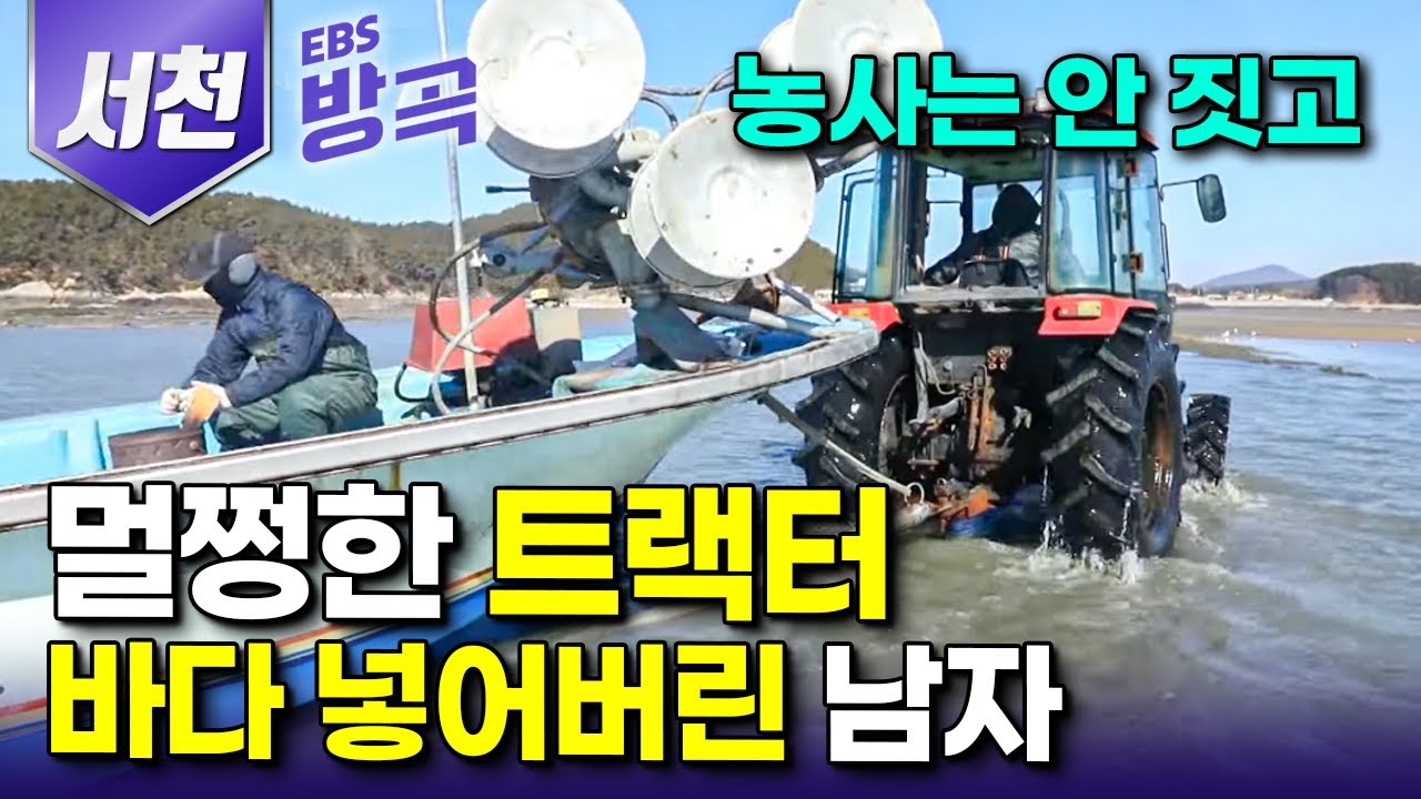 [충남 서천] 일 년에 딱 2번! 사람 발길 쉽게 허락하지 않는 섬, 손 넣는 족족 줄줄이 올라오는 바다의 산삼 잡으려 트랙터로 배 모는 바다마을｜월하성마을｜#한국기행 #방방곡곡