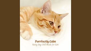 Catnap Rain Symphony